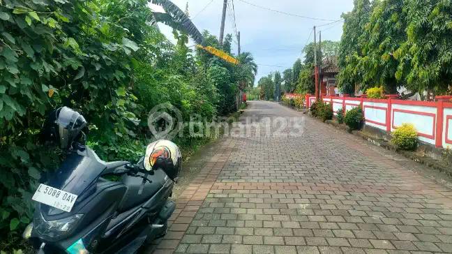 Lahan Premium Murah Siap Bangun di Kelating Tabanan Bali