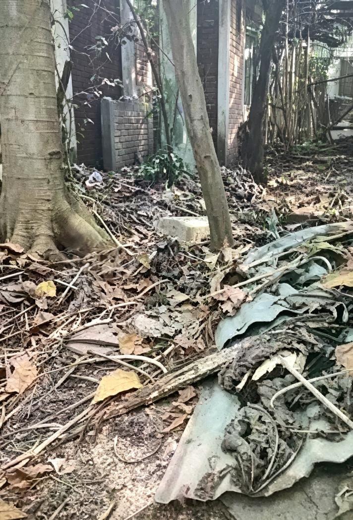 Dijual.murah Dibawah Harga Pasaran Kavling di Kebayoran Baru