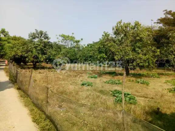 Termurah Dijual Tanah di Pakisjaya Karawang 4.950 M2 Pingir Jalan