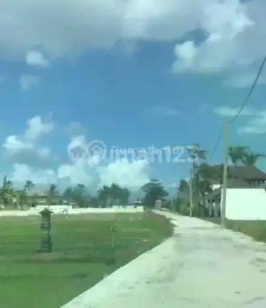 Lahan Premium Siap Bangun Pink Zone di Beraban Tabanan Bali