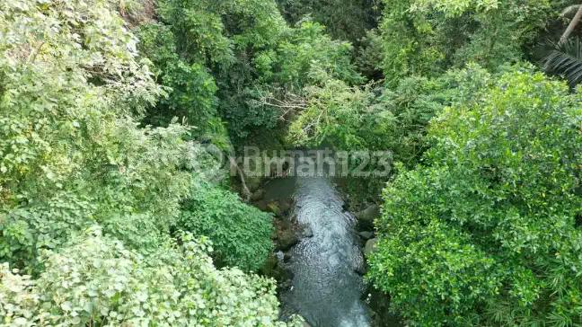 Ready For Sale Premium Land In Gianyar Bali
