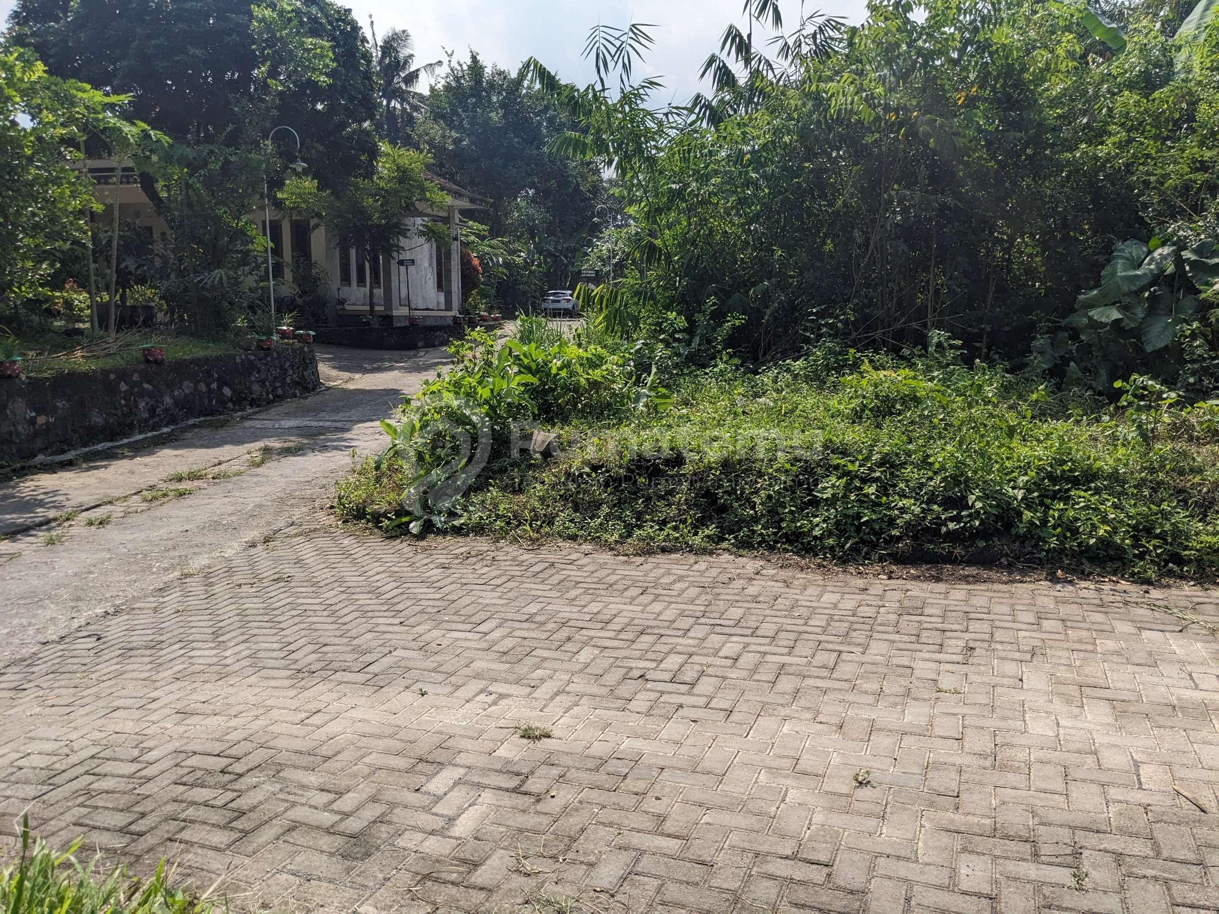 700 Meter Kampus UII Tanah Lingkungan Kost Eksklusif Candi Winangun Sardonoharjo Cocok Bangun Kos