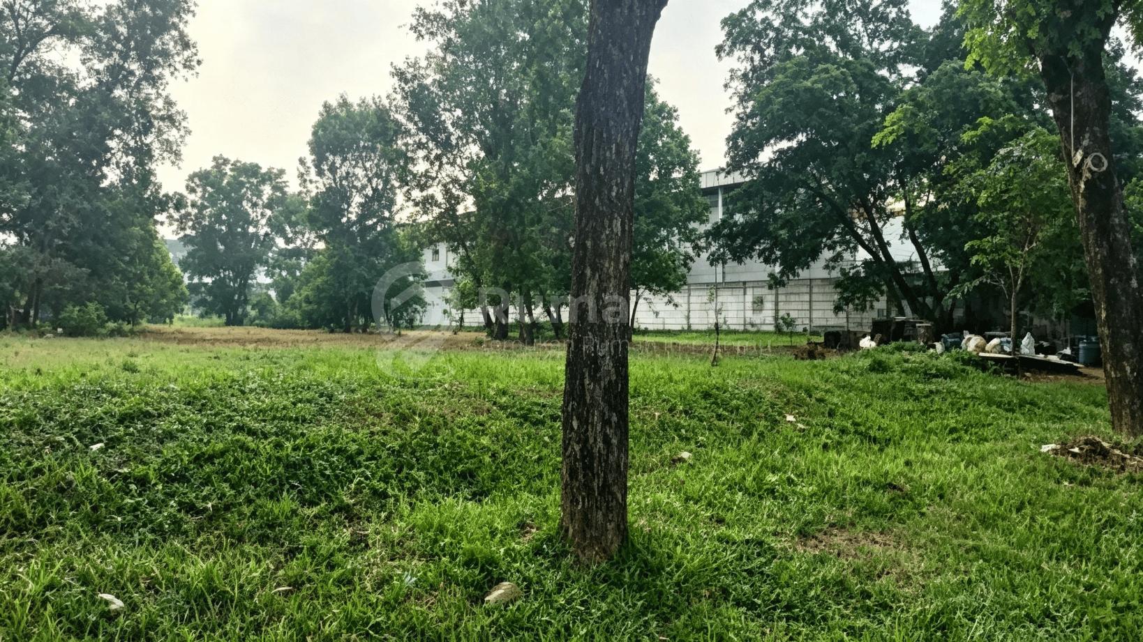 Kavling Industri 2 Hektar-An Harga Masih Nego Taman Tekno BSD
