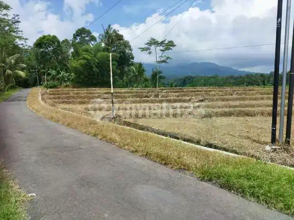 Dijual Tanah Luas, Murah,Cocok untuk Investasi atau Kandang