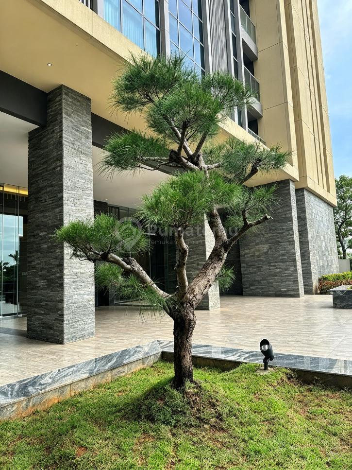 DiSewakan Apartemen Branz 1 Kamar Tidur Furnished BSD Tangerang