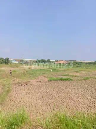 Cikarang [Tanah]:Kontur Tanah Sawah Padat 50-100 Ha Dkt Deltamas