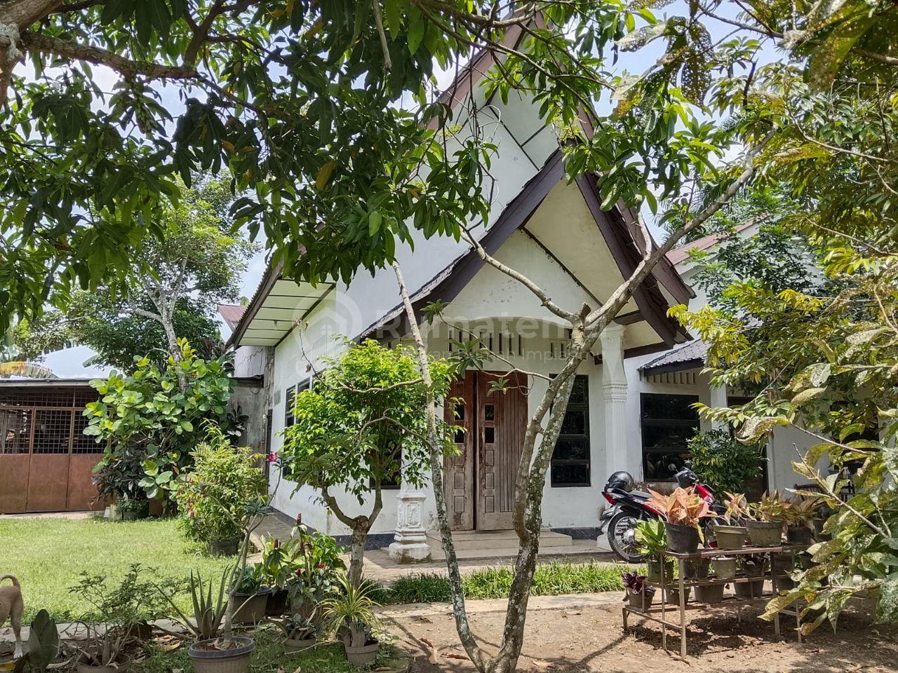 Rumah Cantik Asri Nuansa Kampung Suku Batak Halaman Luas Include dengan Pohon di Kota Medan