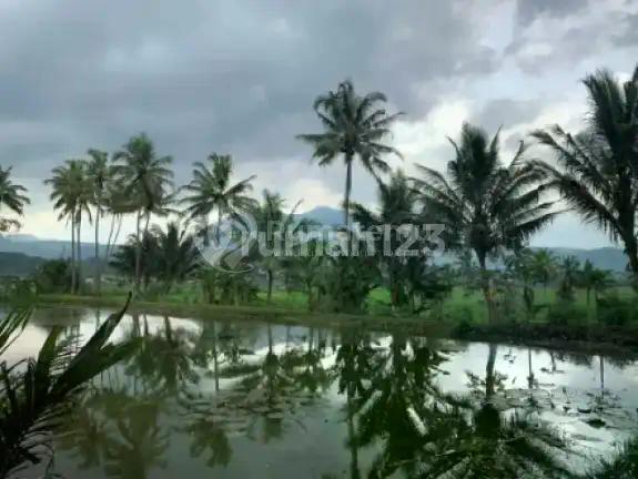 Kolam Ikan Untuk Usaha Ternak Ikan Di Leles Garut