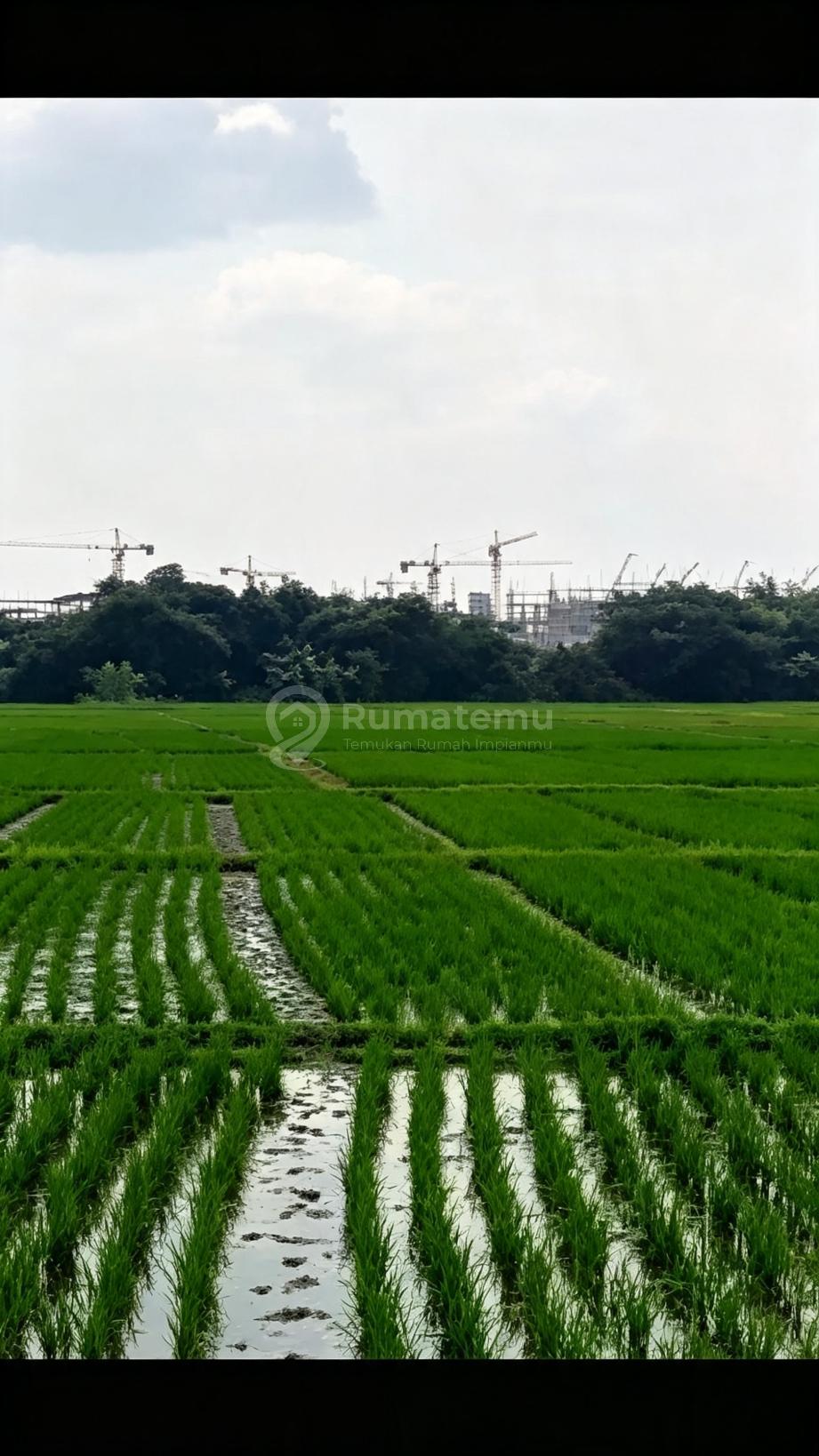 Dijual Lahan Industri di Subang