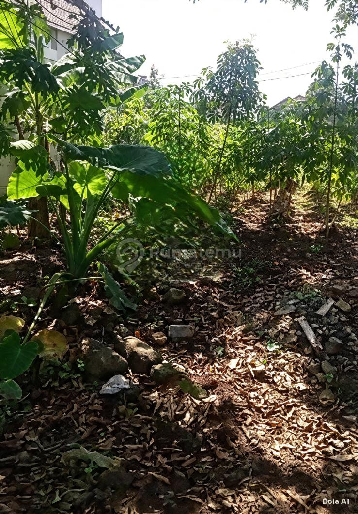 Dijual Kavling Lokasi Strategis Harga Menarik di Serpong