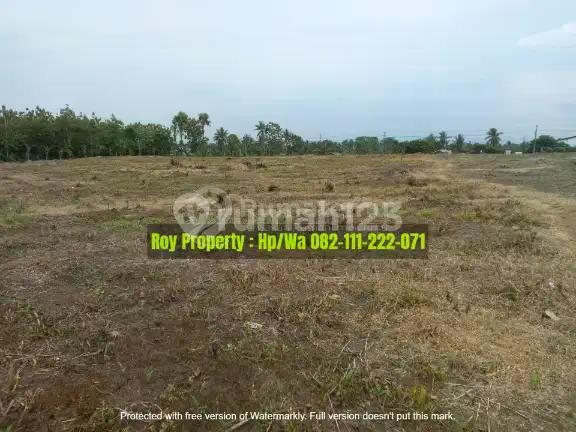 Termurah Dijual Tanah di Kalianda Lampung Selatan 4 Ha