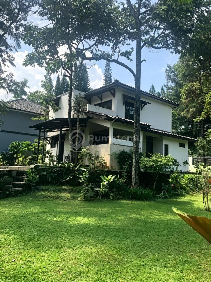 Villa Megah 1000 Meter dan 8 Pohon Durian di Ciawi Puncak