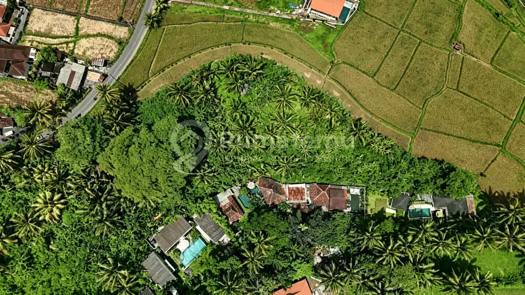 Ready For Leasehold Land In Ubud Bali Ready For Build