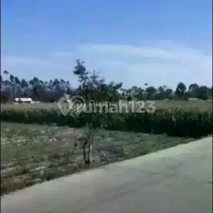 Dijual Tanah Datar Di Daerah Pangalengan Bandung