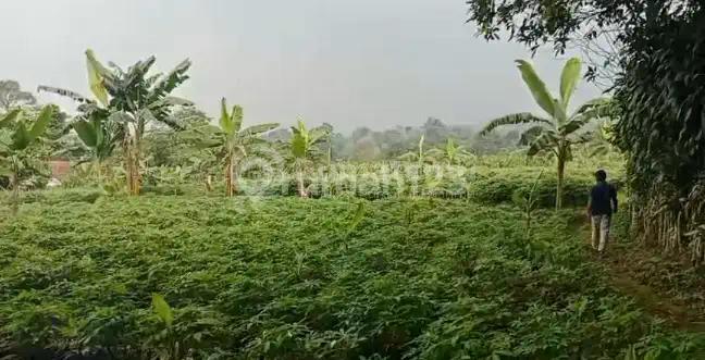 Bogor-Kuripan-Sukadamai [TANAH]:Pinggir Jalan- Dilalui angkutan