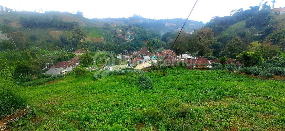 Tanah 1260 m2 SHM View Lembah Dago Pakar Untuk Rumah Villa Resort Café Resto Agro Bisnis Agro Wisata di Pasanggrahan Ciburial-Dago Bandung 