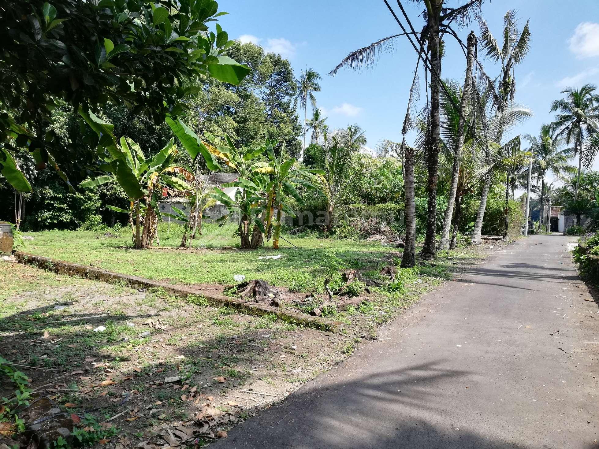Tanah Apik Jl Kaliurang Km 13 Jangkang Widodomartani Ngemplak Sleman SHM 2 Menit Pasar Jangkang 10 Menit UII