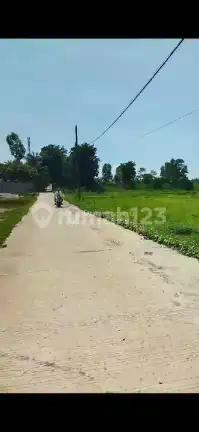 Tanah Murah Cocok Rumah BTN samping tol Kragilan Banyak Pabrik