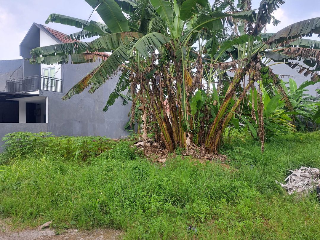 Tanah Pesona Serpong View