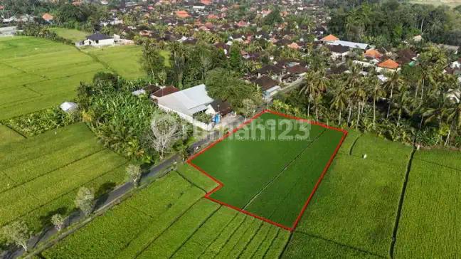 L-1168 Prime Leasehold Land With Endless Views In Kaba Kaba, Tabanan