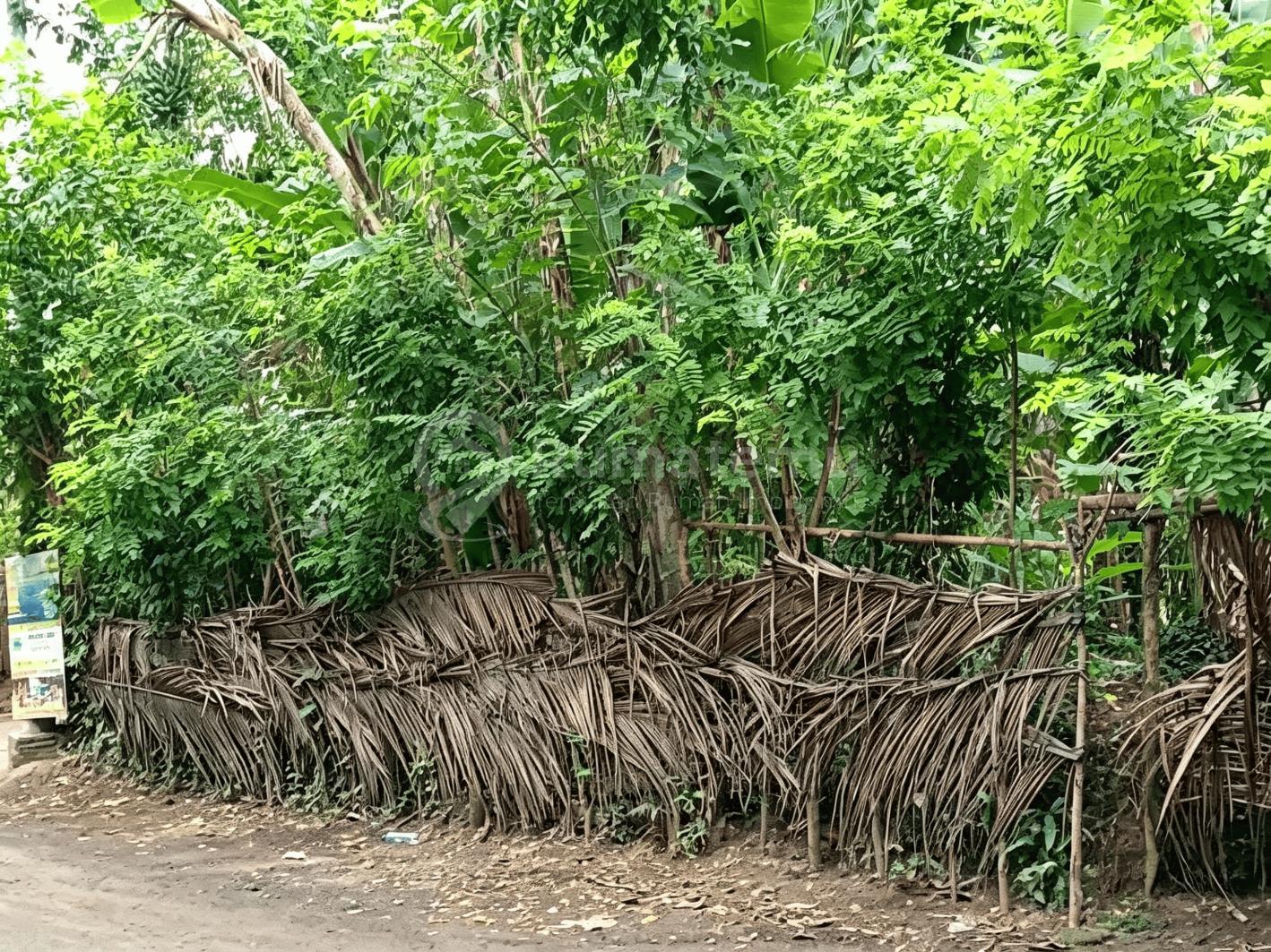 Disewakan Tanah Komersial Di Sengkidu Karangasem Bali