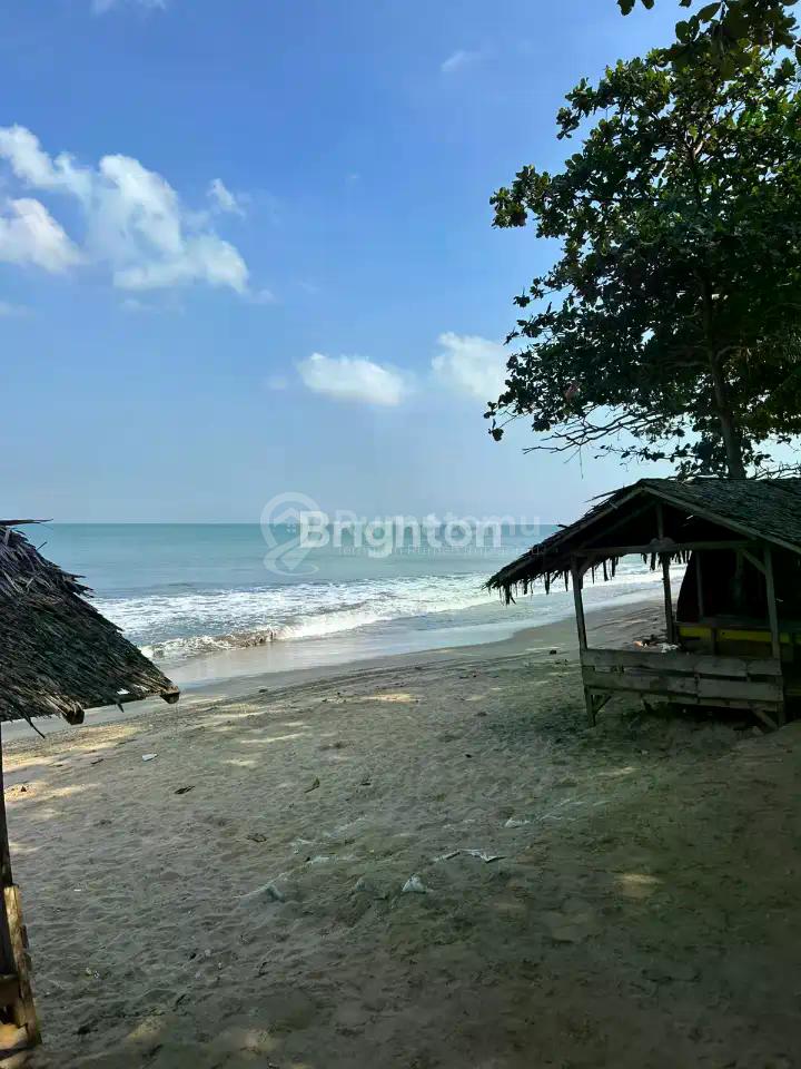 Jual EL PURKA