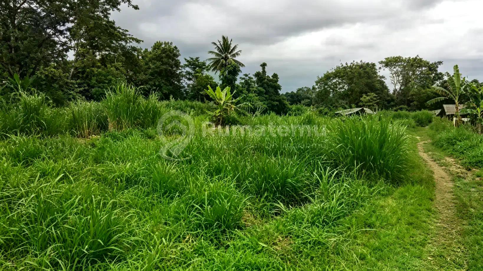 Dijual Tanah di Timur Pasar Gentan Yogya, Lt 440m2