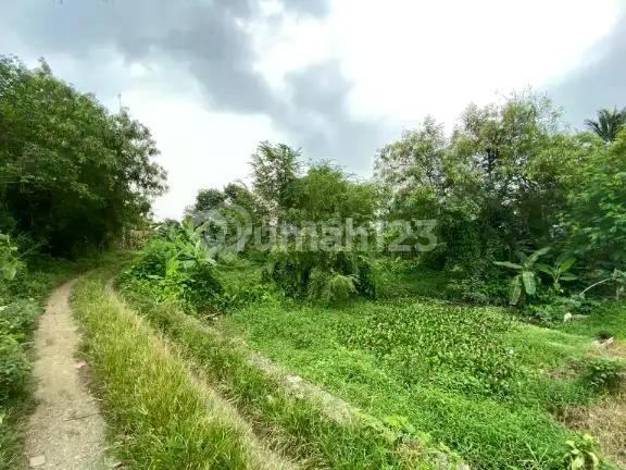 Dijual Tanah Luas 1,1 Hektar di Ciseeng Parung Bogor