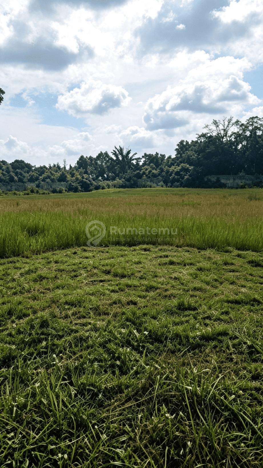 Dijual dan disewakan tanah komersil di area Buaran, Serpong, Tangerang Selatan, Banten