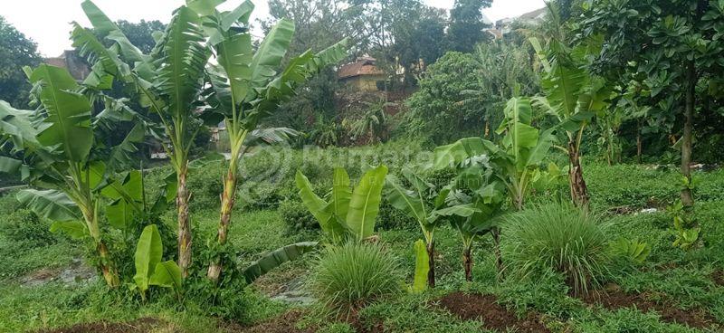 Tanah 7375 m2 SHM Muka 100 Meter Untuk Perumahan dan Permukiman  Lokasi Super Strategis Berbatasan Dengan Perumahan Nata Endah di Cihanjuang Jawa Barat