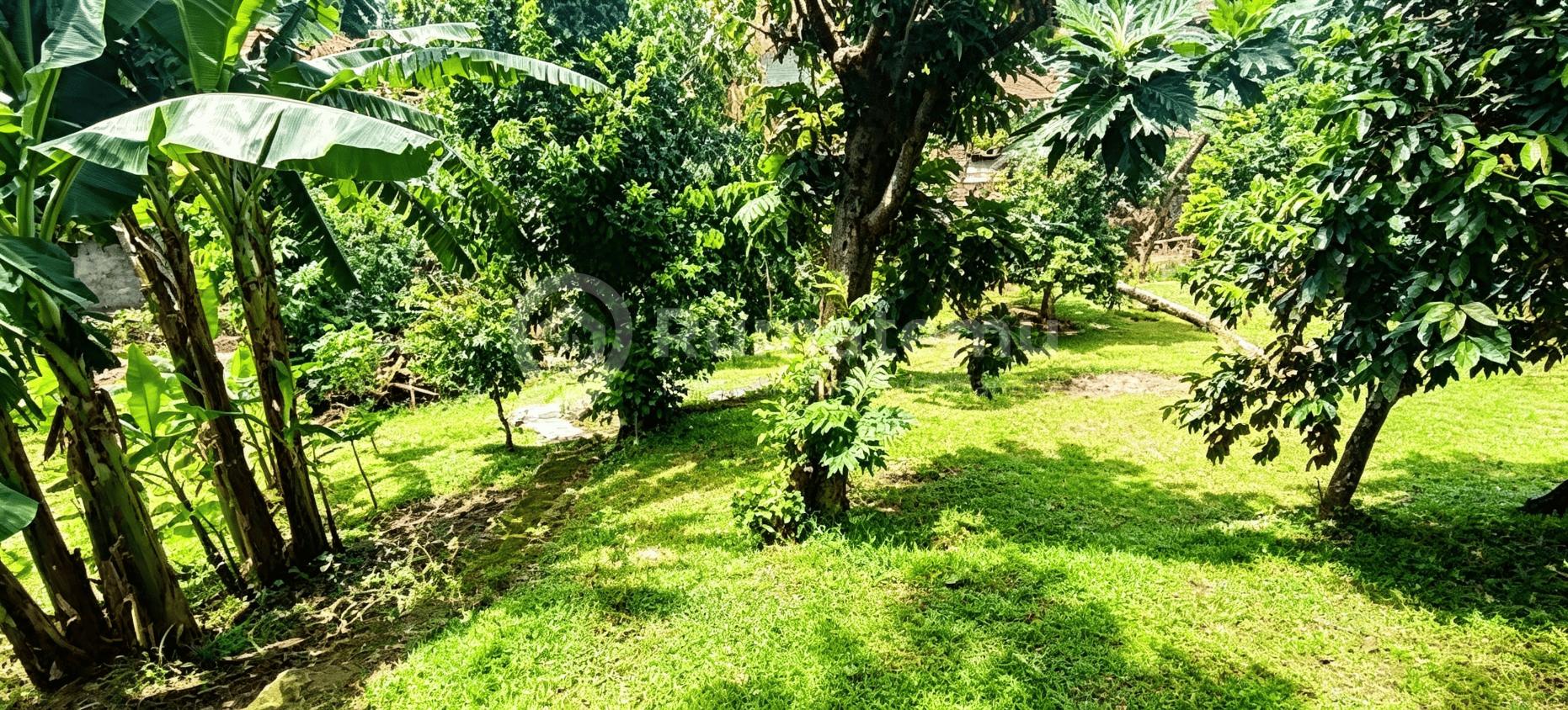 Dijual Tanah Siap Bangun Lokasi Cocok untuk Cafe Outdoor Hidden Gem Dijagajarsa Jakarta Selatan