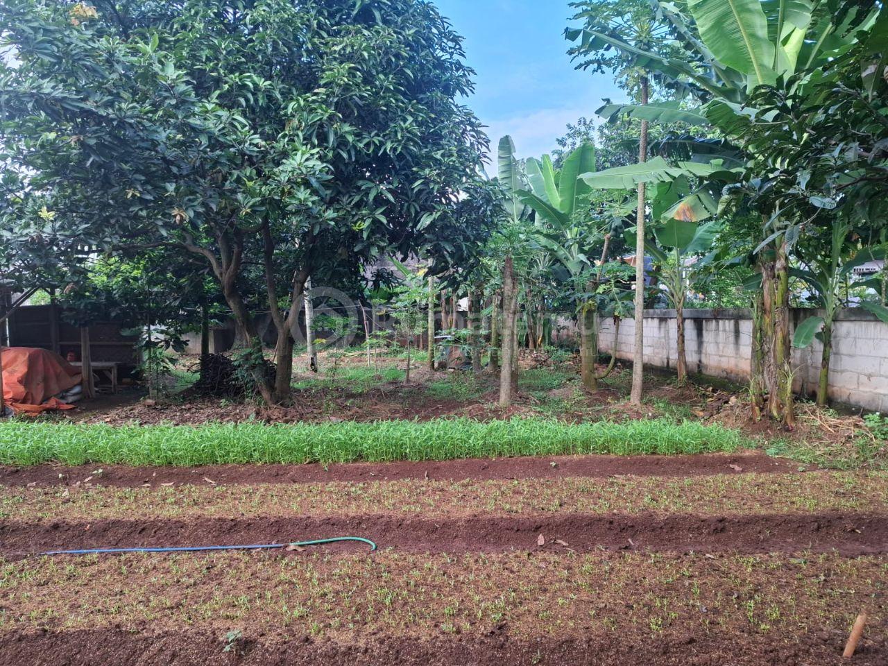 DIJUAL TANAH KAVLING PEDURENAN, MUSTIKA JAYA - BEKASI
