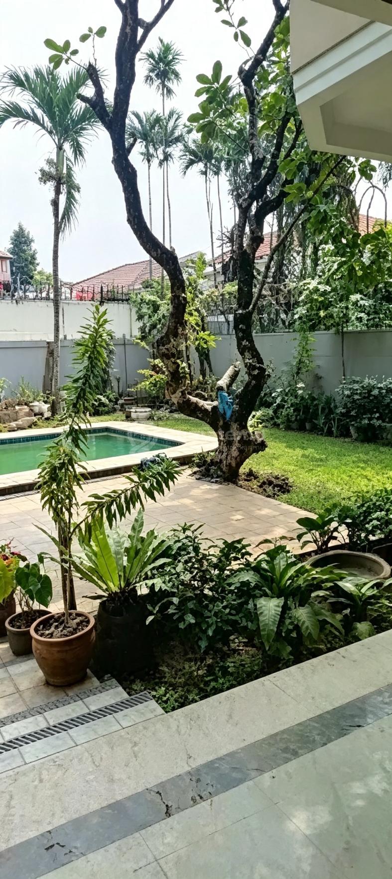 Disewakan Rumah Besar Siap Huni Di Kemang Jakarta Selatan