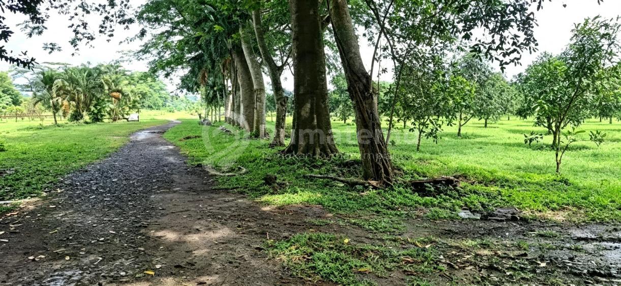 Dijual Tanah di Cikande Rangkas Bitung