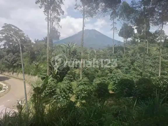 Dijual Tanah Perkebunan Kopi di Pangalengan Bandung Selatan