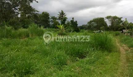 Dijual Tanah di Timur Pasar Gentan Yogya, Lt 440m2