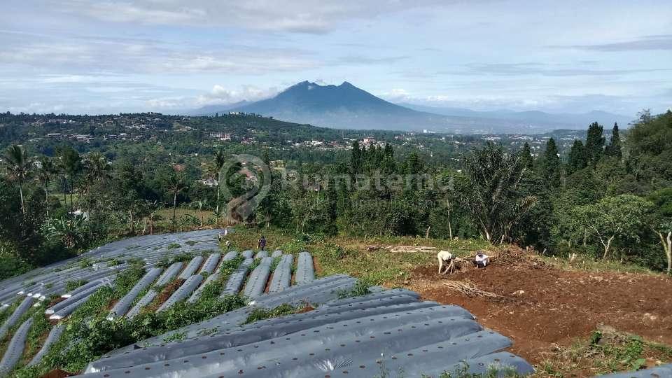 Dijual tanah di Megamendung view gunung salak dan pangrango 