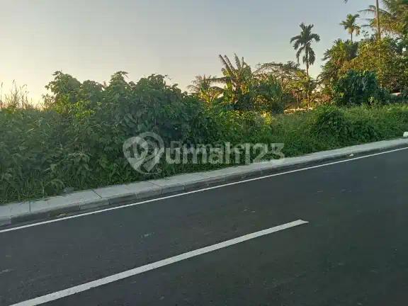 Ready For Sale Premium Location Land In Cemagi Badung Bali