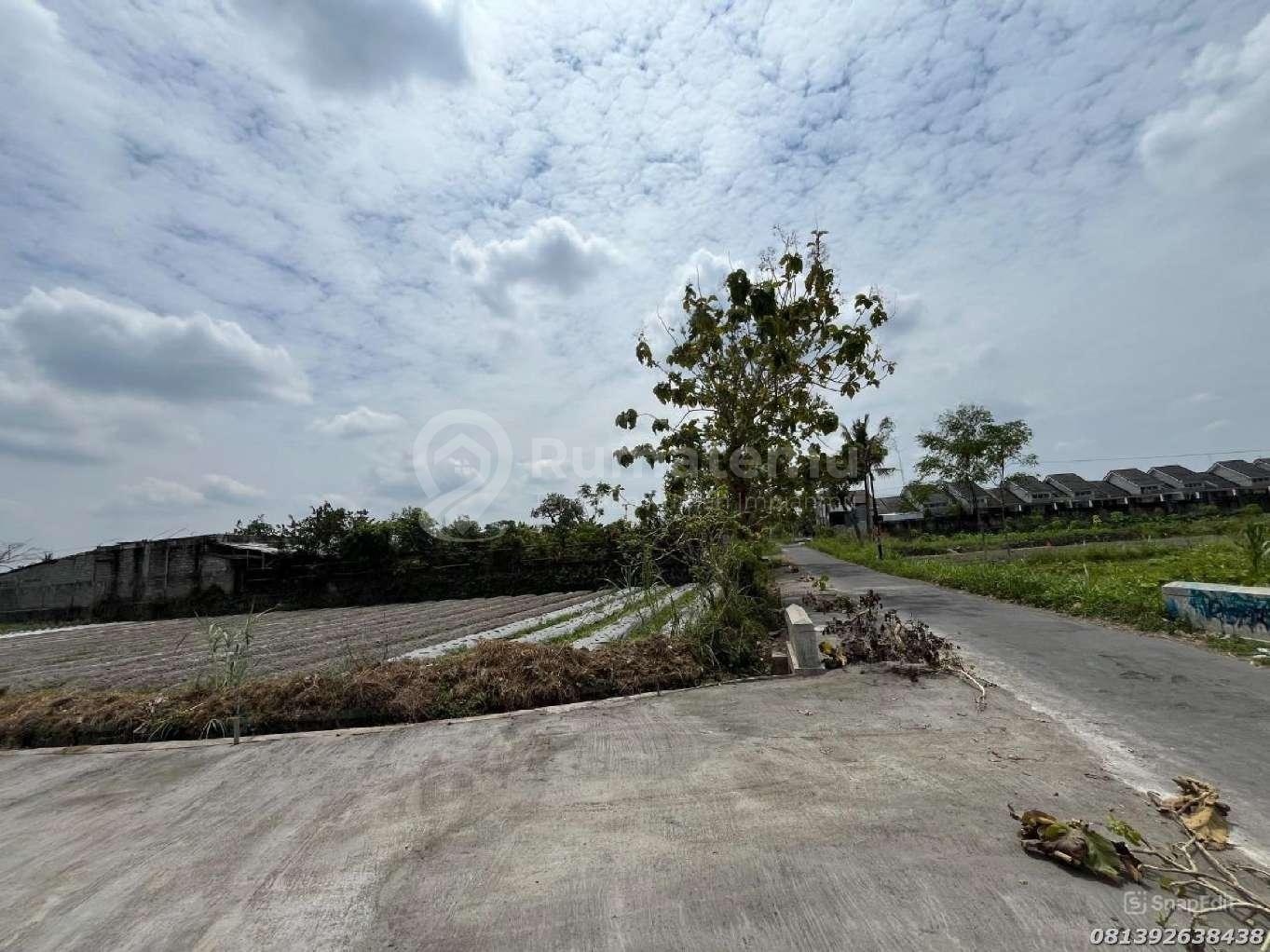 View Sawah Tanah Asri Dekat UII Jogja Jalan Utama Investasi Premium