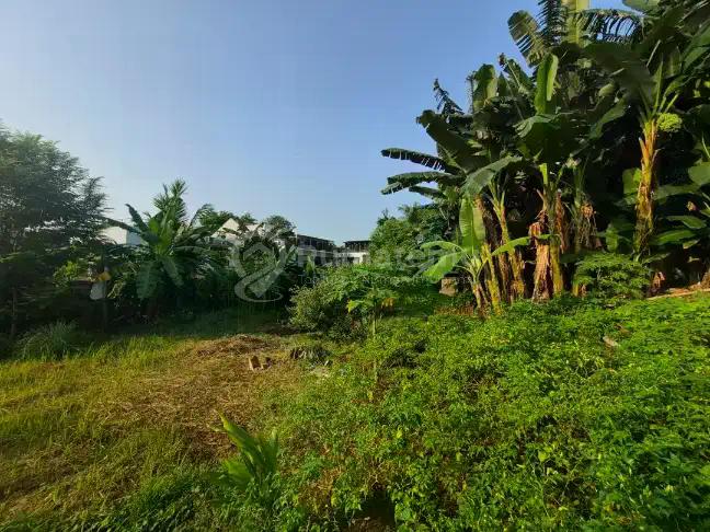 LAHAN LUAS COCOK UNTUK CLUSTER ATAU USAHA LAIN  Terletak di jalan Palem Puri (dekat cluster Puri Bintaro, Bintaro Jaya Sektor 9)