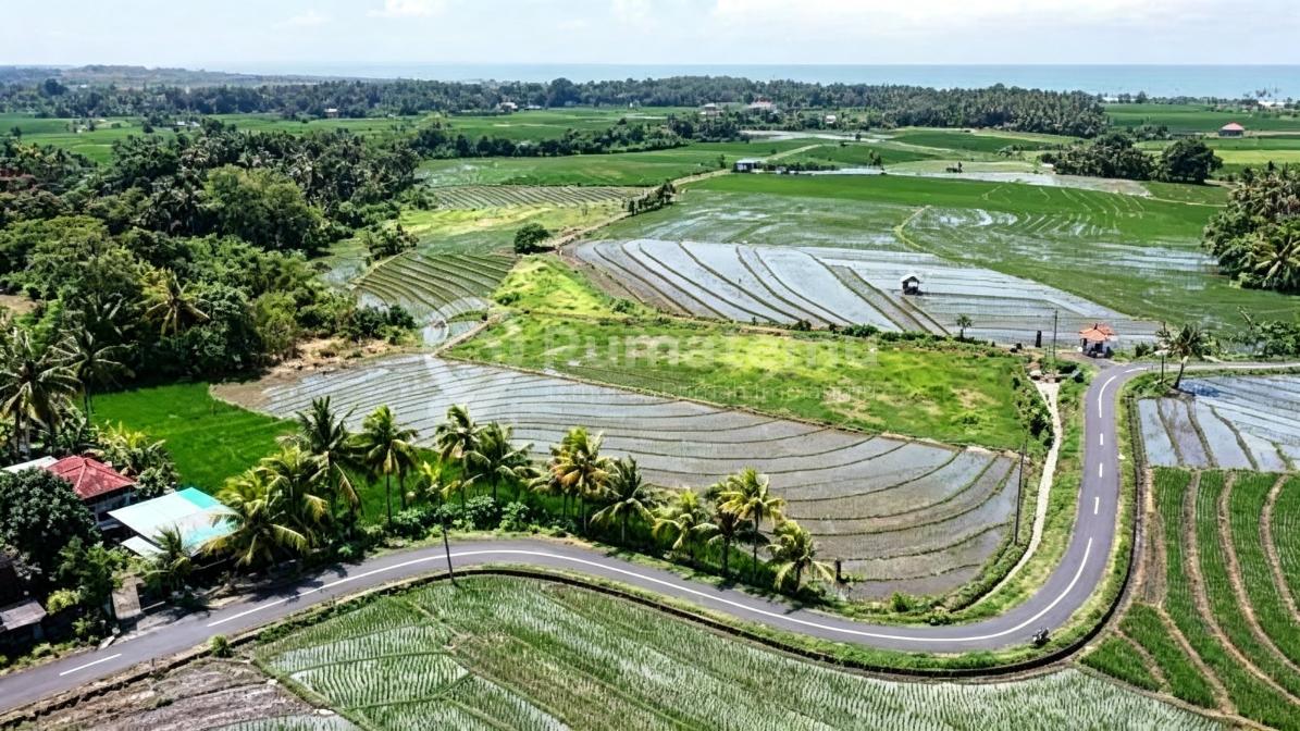 Lahan Premium Siap Bangun Zona Pink di Beraban Tabanan Bali