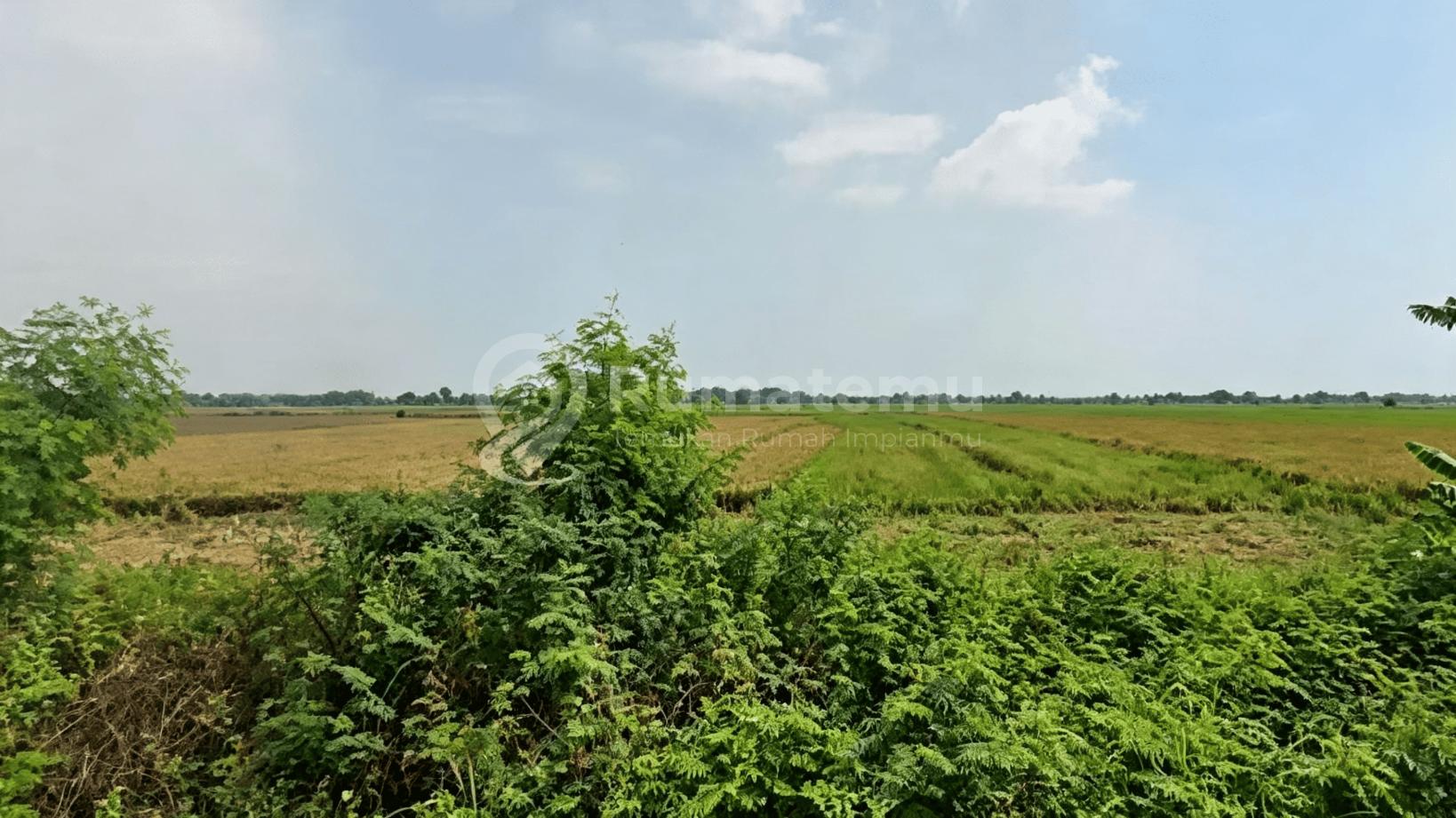Bekasi [Tanah] :Sukawangi-Jl.Sukatenang 150 HA-UTK PERUMAHAN
