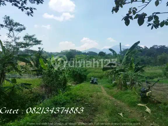 Tanah dijual, di Semarang cocok untuk outbond & wisata alam