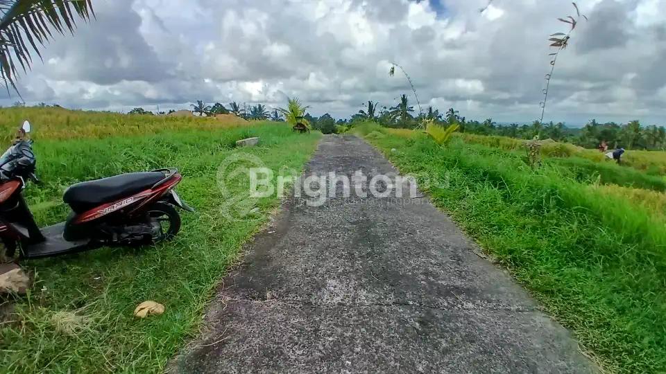 Jual DESA LUMBUNG