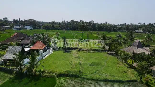 Termurah, Tanah Kavling di Ubud Bali