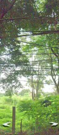 Disewakan Tanah Bambu Apus Jakarta Timur
