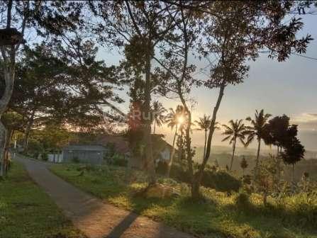 Dijual Tanah Kavling Murah Harga Permeter