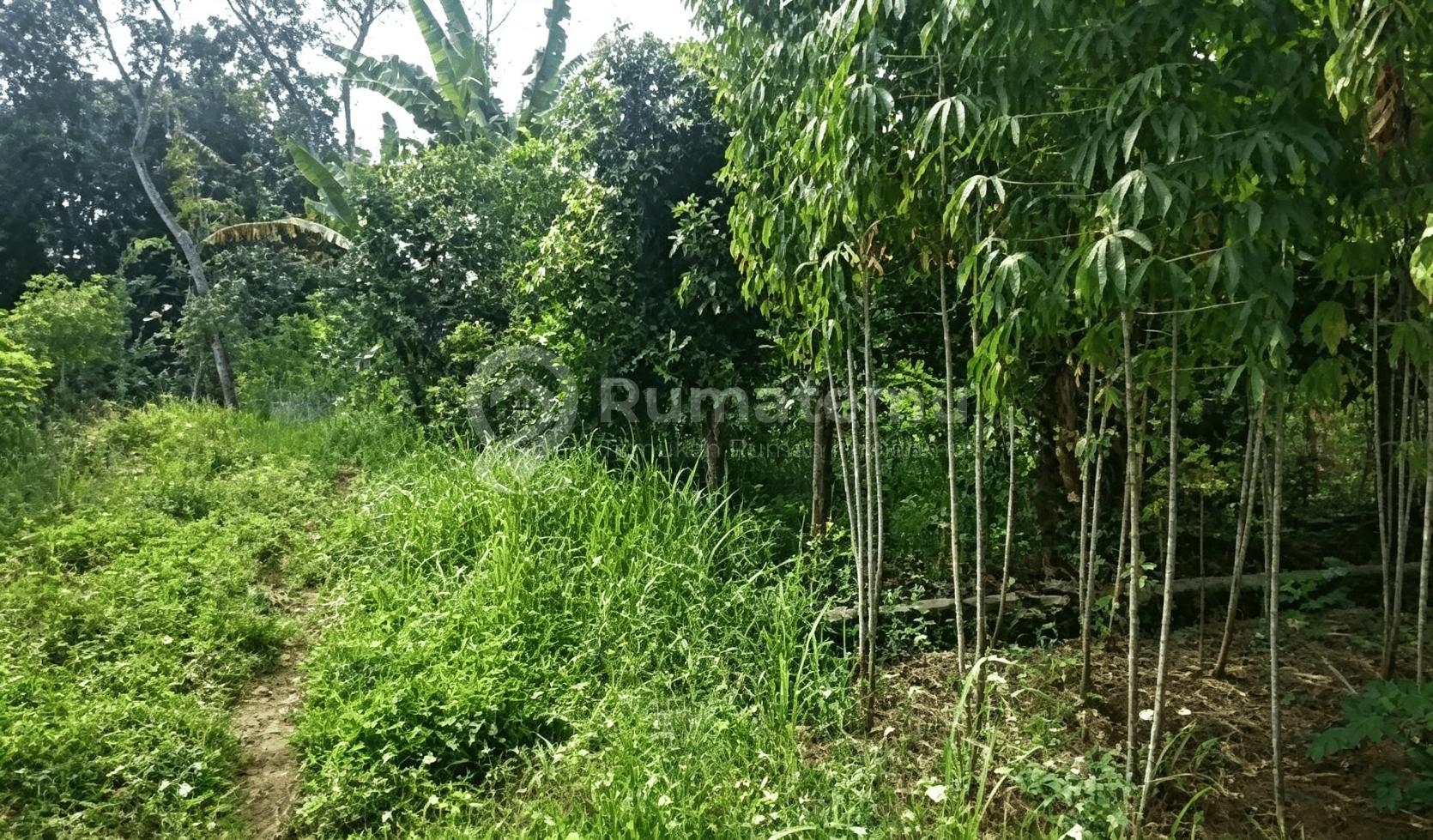 Tanah Dijual di Selatan Bsb City, Ngaliyan Semarang, Dekat Kopi Blirik