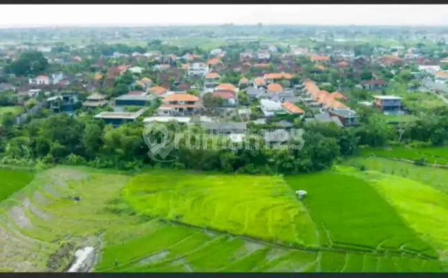 Ready For Sale Premium Land In Pererenan Bali