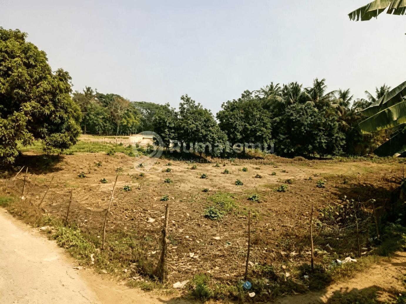 Banting Harga Dijual Tanah di Jalan Pakisjaya Karawang 4.950 M2